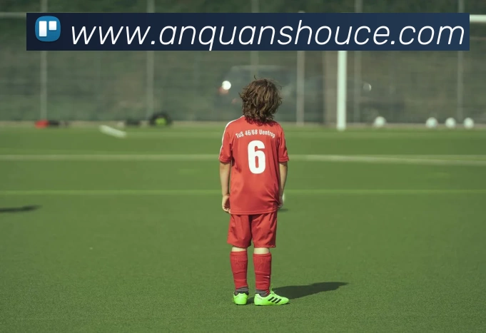 kaiyun「中国大陆」云开·门户网站 - 官方网站|登录入口平台生态图